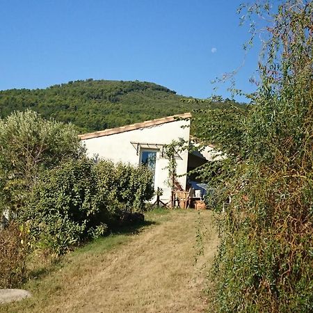 Maison de Campagne l'étang Seillans Exterior foto