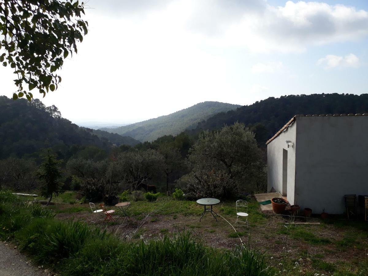 Maison de Campagne l'étang Seillans Exterior foto
